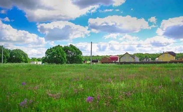 Эковита
