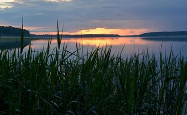 Озеро Утиное