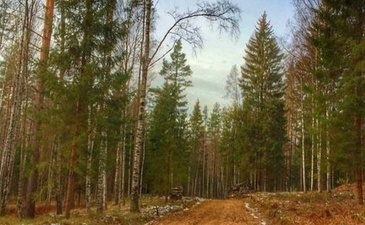 Лесной Хутор