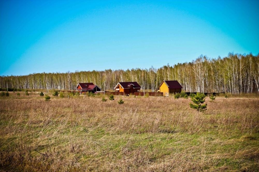 Барский луг вольгинский. Барские поля отзывы. Барские поля отзывы. Барские поля отзывы. Деревня барские кусони.
