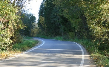 Живописная подъездная дорога к посёлку "Лесогорье"