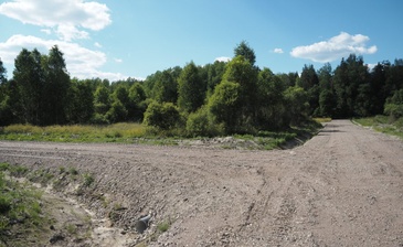 Брусника road