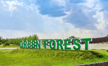 Green Forest Premium